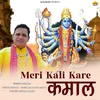 About Meri Kali Kare Kamal Song