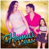 About Hamar Bhaisa Song