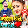 About Dharkela Dil Jore Se Song