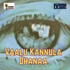 About Vaalu Kannula Dhanaa Song