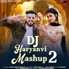 About DJ Haryanvi Mashup 2 Song