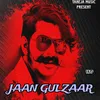 About Jaan Gulzaar Song
