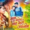 About Nasha Chadgo Dekhan Song