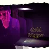 About Gold Digger Song