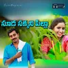 About Suda Sakkani Pilla Bavani Song