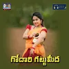 About Godari Gattu Meeda Song