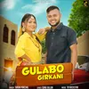 About Gulabo Girkani Song