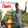 About Tere Barga Nashi Song