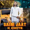 About Saini Jaat Ke Chite Song