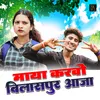 About Maya Karbo Bilaspur Aaja Song