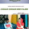 About Cham Cham Kre Pajeb Song