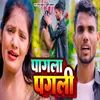 About Paagla Pagli Song