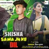 About Shisha Samajh Ke Dil Song