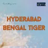 About Hyderabad Bengal Tiger Song
