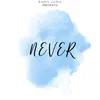 About Never Song