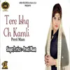 About Tere Ishq Ch Kamli Song