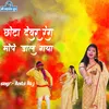 About Chhota Devar Rang Mope Dal Ke Gya Song