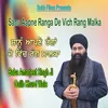 About Sanu Aapne Ranga De Vich Rang Malka Song