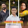 About Sorey Nai Jana Song