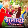 About Gulabo Song