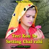 About Teri Kon Se Setting Chal Rahi Song