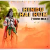 About Hindu Hai Hum EDM Mix Song