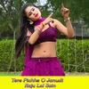 About Tere Pichhe O Janudi Song