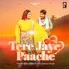 About Tere Jaye Paache Song