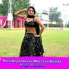 About Tera Kiya Visvas Meri Jan Bewfa Song