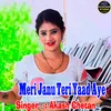 About Meri Janu Teri Yaad Aye Song