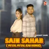 About Sain Sahab Song