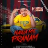 About Hawa Me Pranam Song