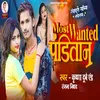 About Most Wanted Panditain Song