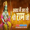 About Avadh Me Aa Rahe Shree Ram Ji Song