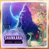 Shankara - Slowed & Reverb