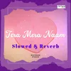 About Tera Mera Naam - Slowed & Reverb Song