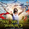 About Mere Shiv Shankar Ji Song