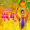 About Kukunoorpalli Pedamma Thalli Song Song