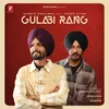 About Gulabi Rang Song