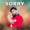 About Sorry Song