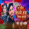 About Tu Dil Torale Ham Sil Torani Song