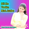 About Dil Ko Todke Mat Jaabe Song