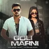 About Goli Marni Song