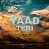 About Yaad Teri Song