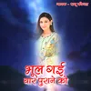 About Bhool Gayi Yaar Purane Ko Song