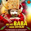 About Jai Ho Baba Mere Shyam Song