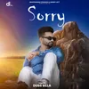 About Sorry Song