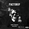 About FACTDRIP Song