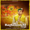 About Meri Baglamukhi Mayi Song