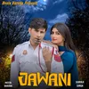 About Jawani Song